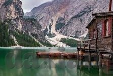 免费成人伦理电影-免费成人伦理电影，探索人性与道德的灰色地带